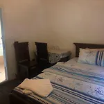 Te Mrizi (Rilindja)