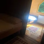 Te Mrizi (Rilindja)